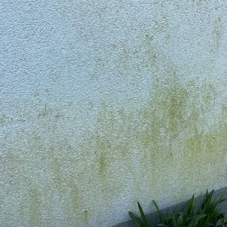 Fassaden in der Bearbeitung